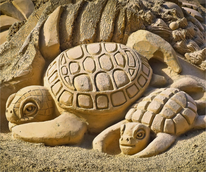 Turtle sand sculptures